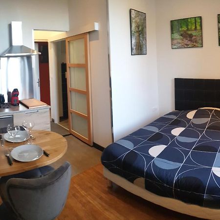 Le Studio Du Parc Au Coeur De Chaumont Apartment Chaumont  Bagian luar foto